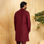 Burgundy Ethnic Embellished Celebration Wear Collection