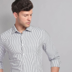 Men's Vertical Stripe Regular Fit Formal Shirt