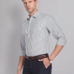 Men's Vertical Stripe Regular Fit Formal Shirt